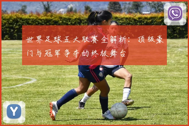 世界足球五大联赛全解析：顶级豪门与冠军争夺的终极舞台